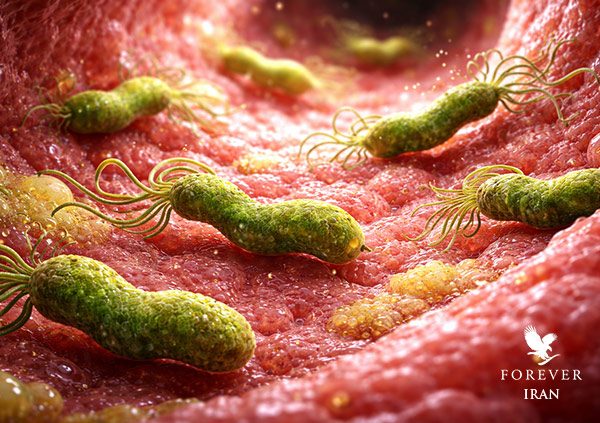 میکروب معده و درمان آن